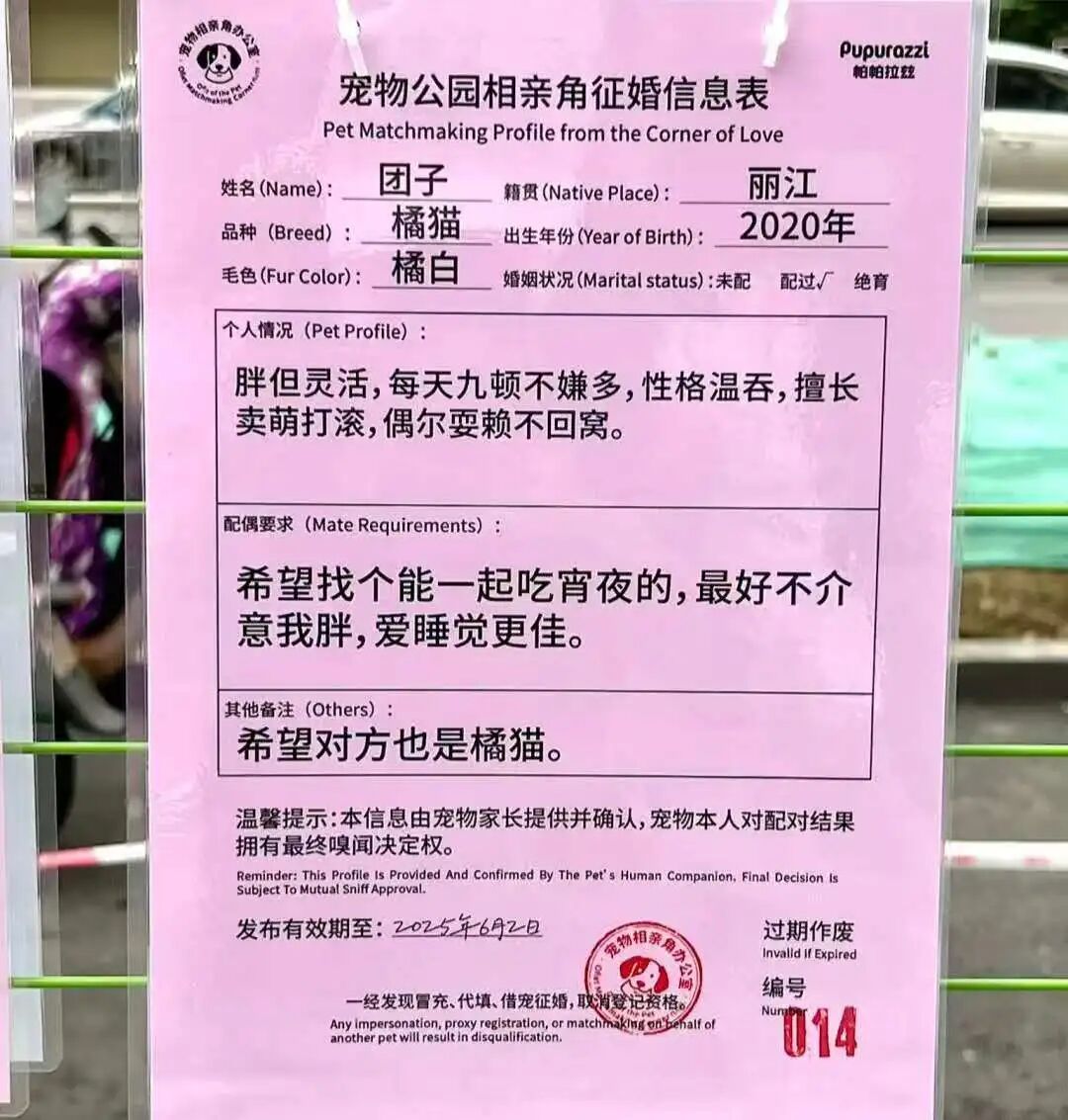 逃避催婚的年轻人们，正忙着帮宠物相亲