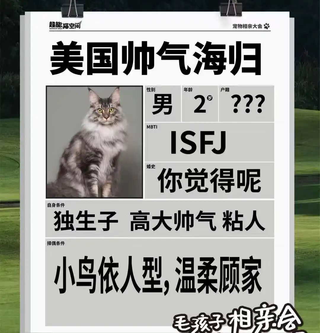 逃避催婚的年轻人们，正忙着帮宠物相亲