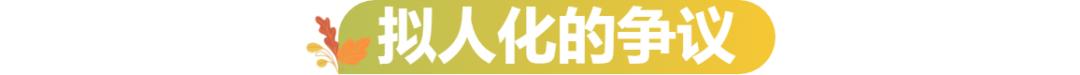 逃避催婚的年轻人们，正忙着帮宠物相亲