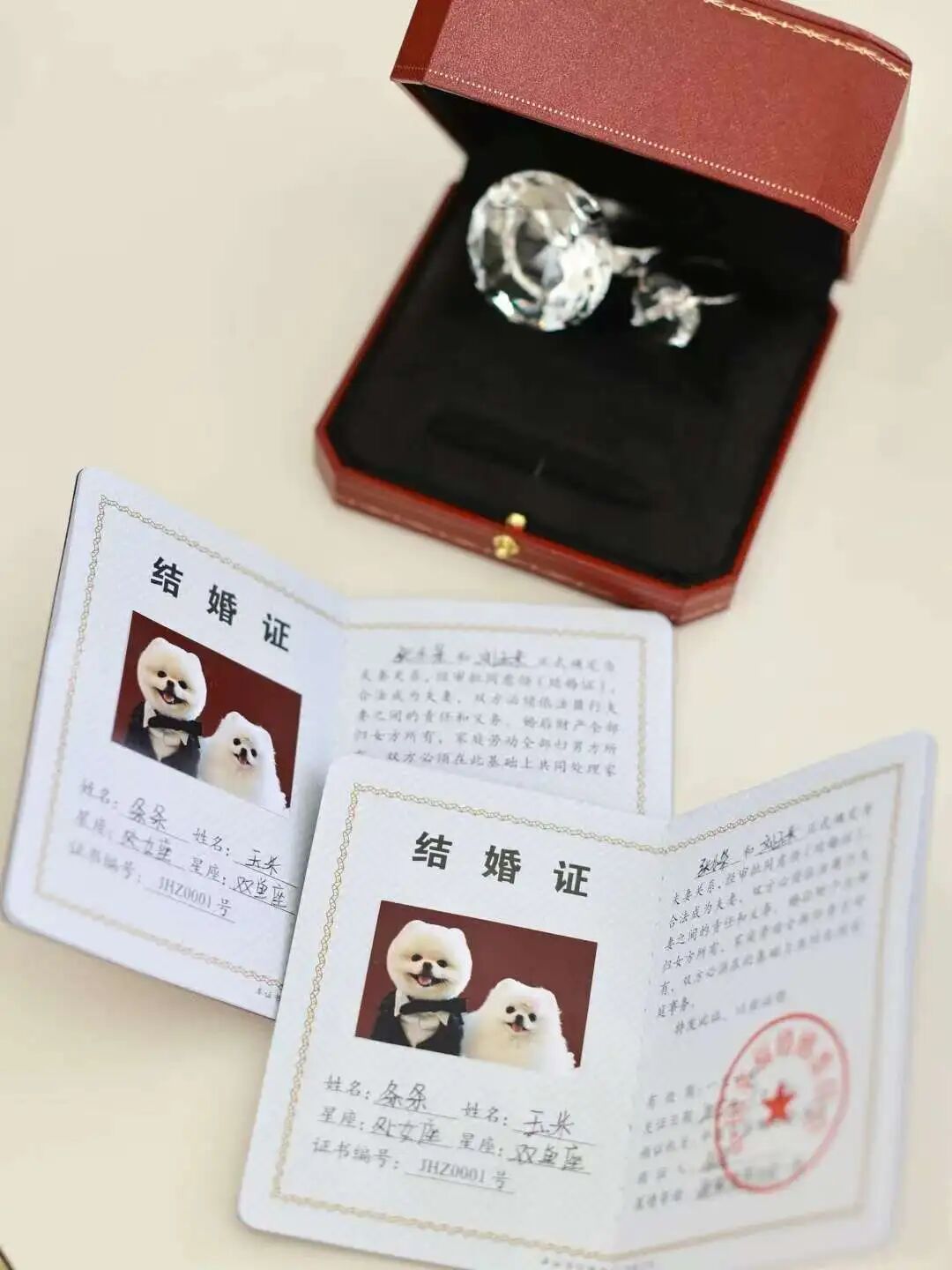 逃避催婚的年轻人们，正忙着帮宠物相亲