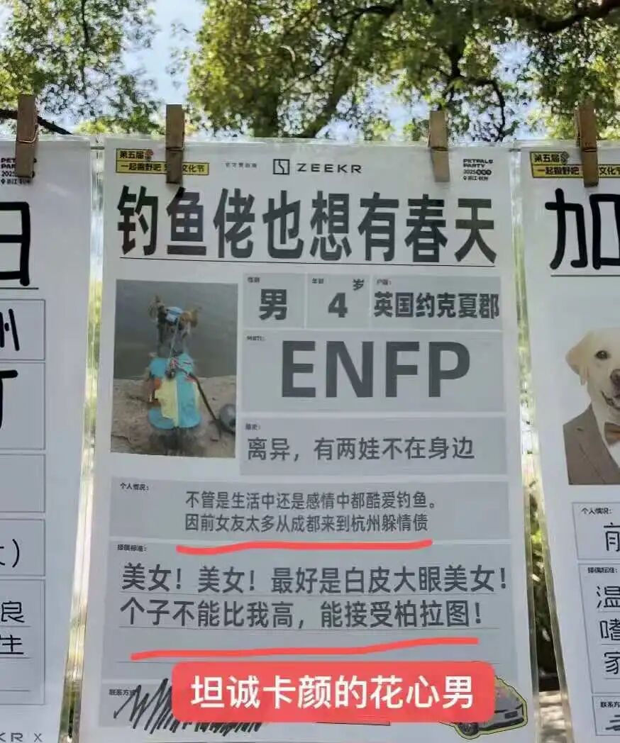 逃避催婚的年轻人们，正忙着帮宠物相亲