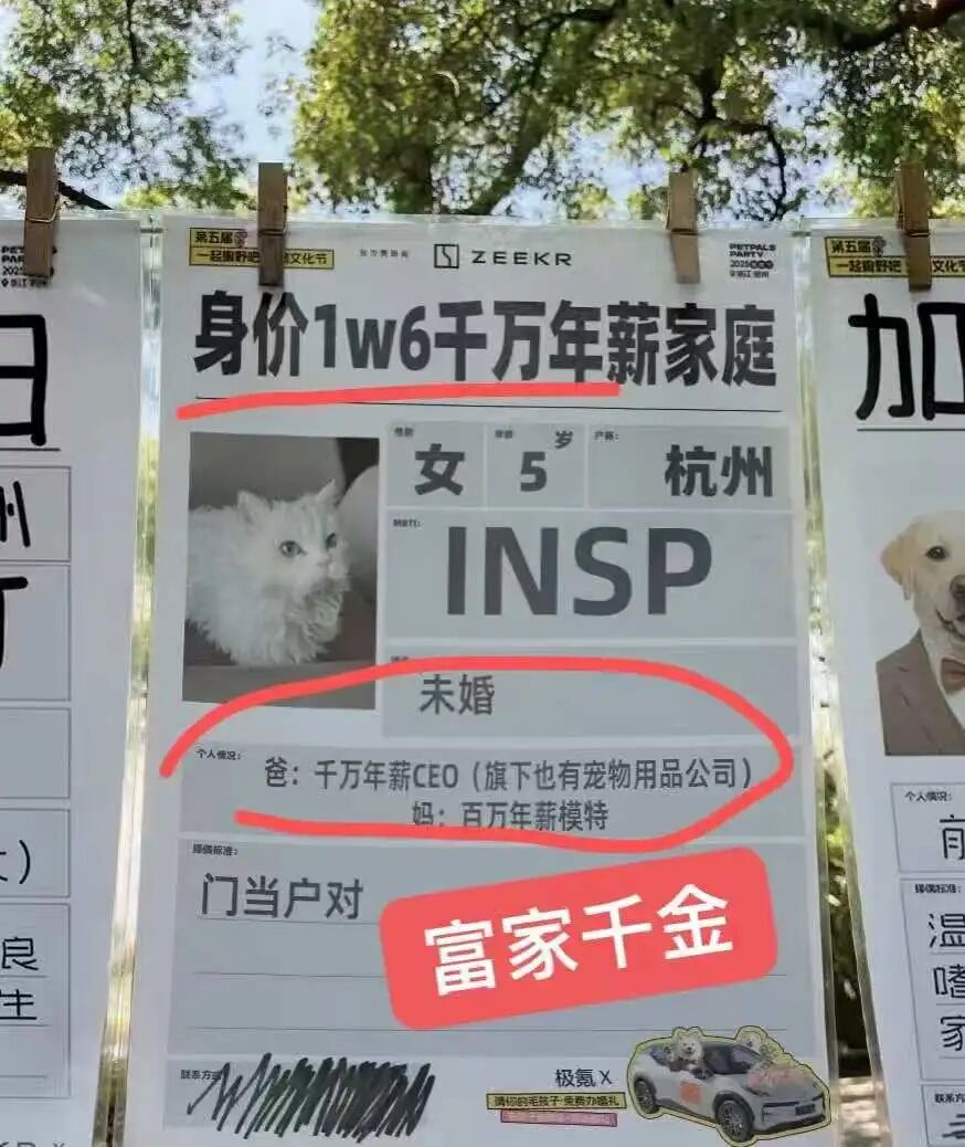 逃避催婚的年轻人们，正忙着帮宠物相亲
