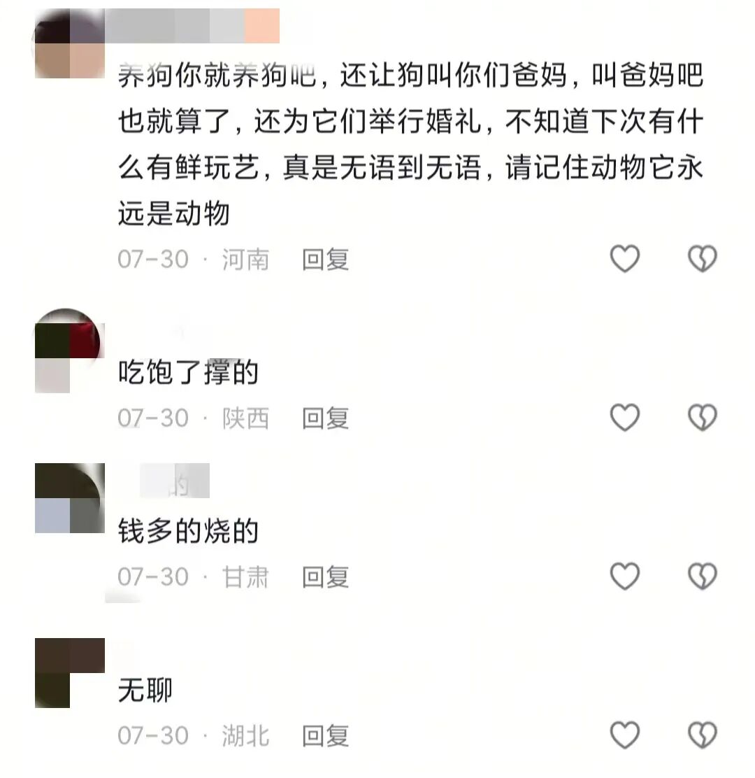逃避催婚的年轻人们，正忙着帮宠物相亲