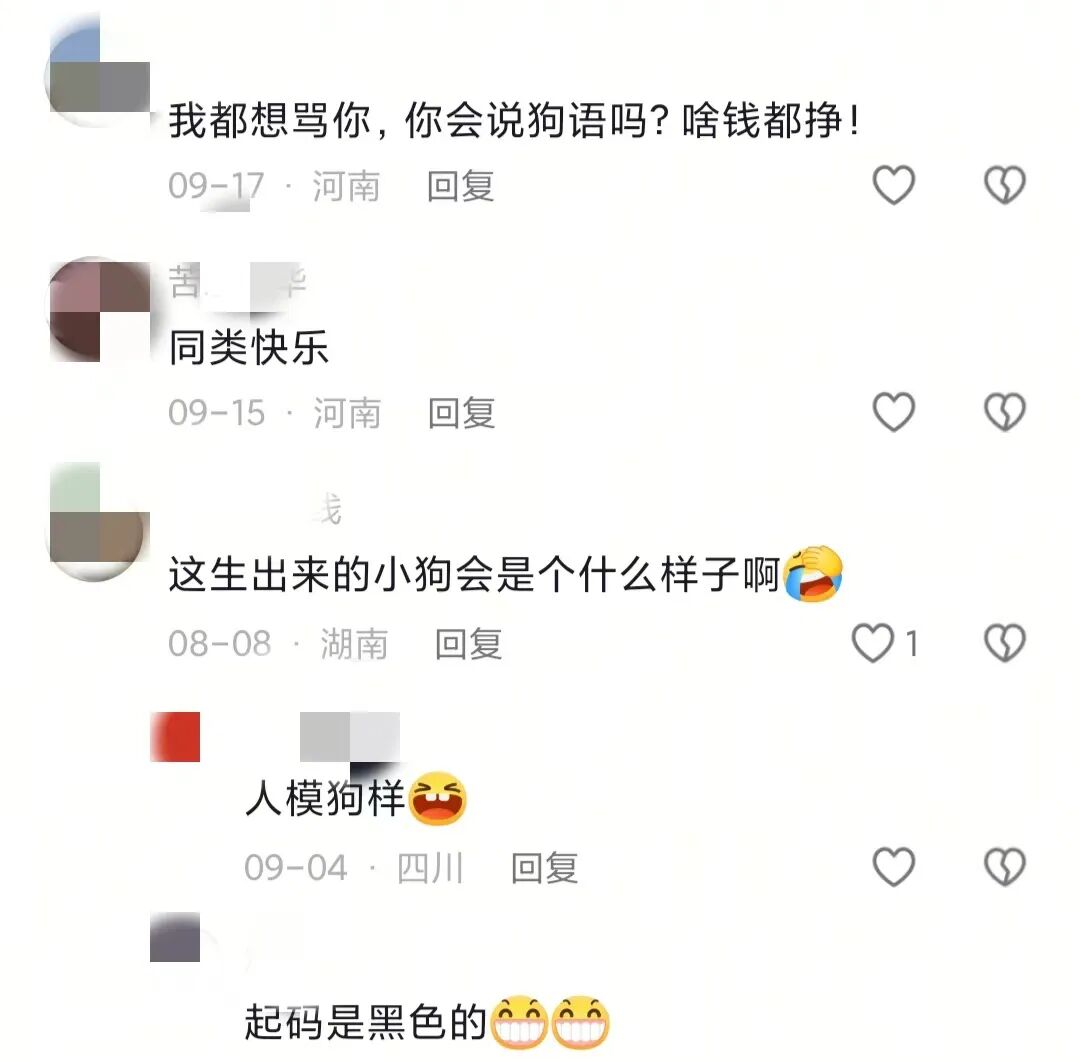 逃避催婚的年轻人们，正忙着帮宠物相亲
