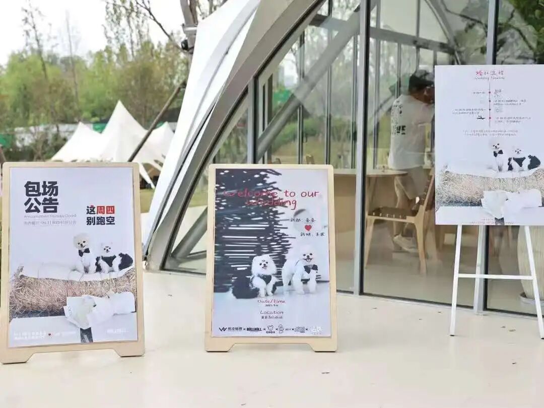 逃避催婚的年轻人们，正忙着帮宠物相亲