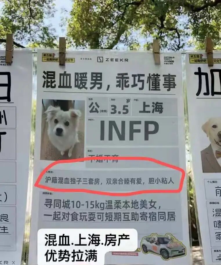 逃避催婚的年轻人们，正忙着帮宠物相亲