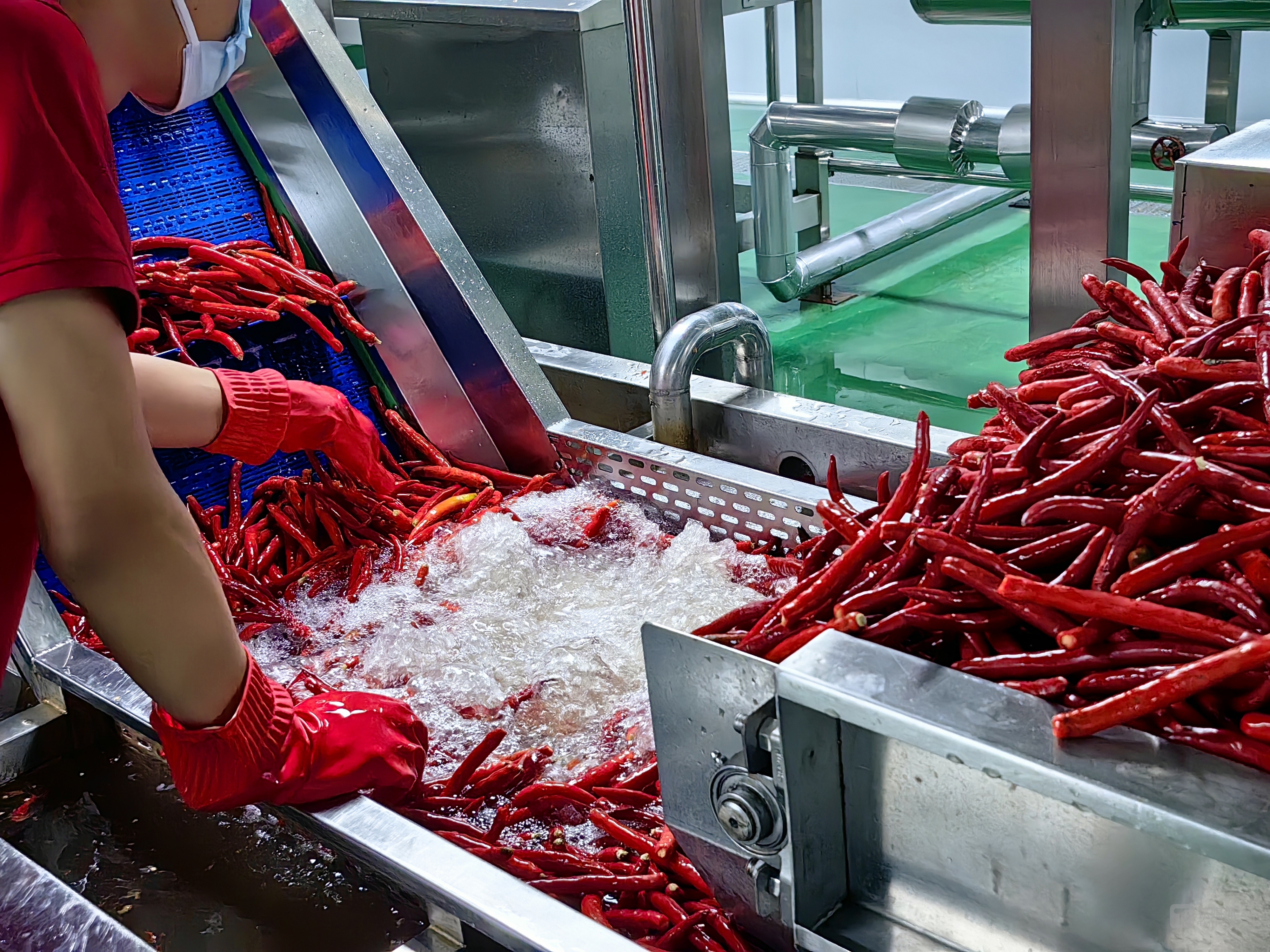 图源：实拍，下同