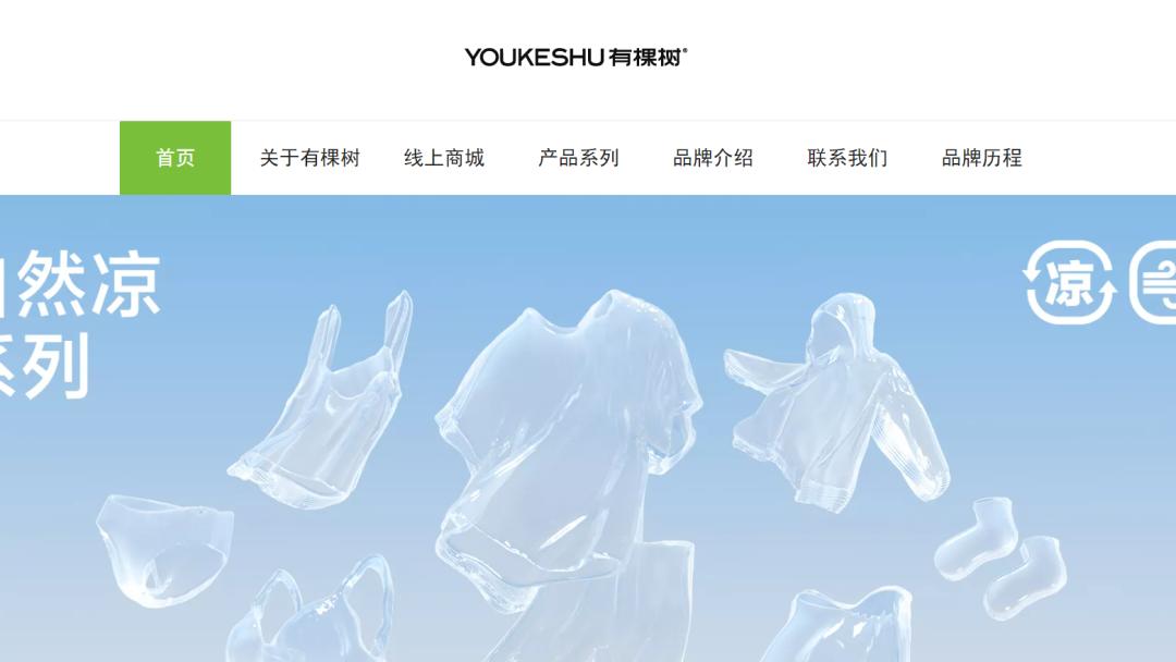 晨北、择尚、有棵树：谁杀死了跨境巨头？