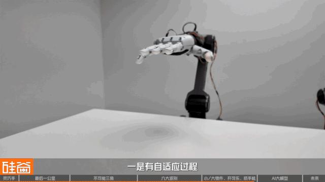 机器人的“最后一公里”：深聊灵巧手的“不可能三角”与六大技术门派