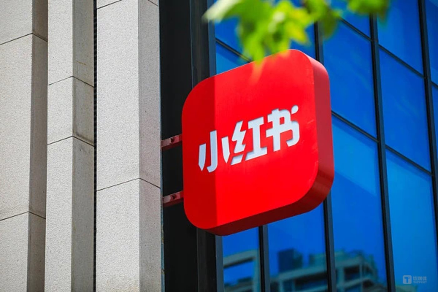 小红书估值达310亿美元市值,商业化策略需要新支点