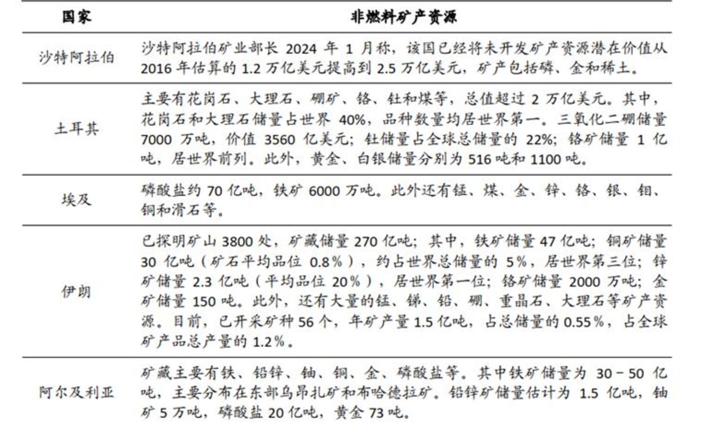先飞的中国早鸟,正在中东赚翻