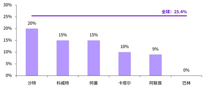 先飞的中国早鸟，正在中东赚翻