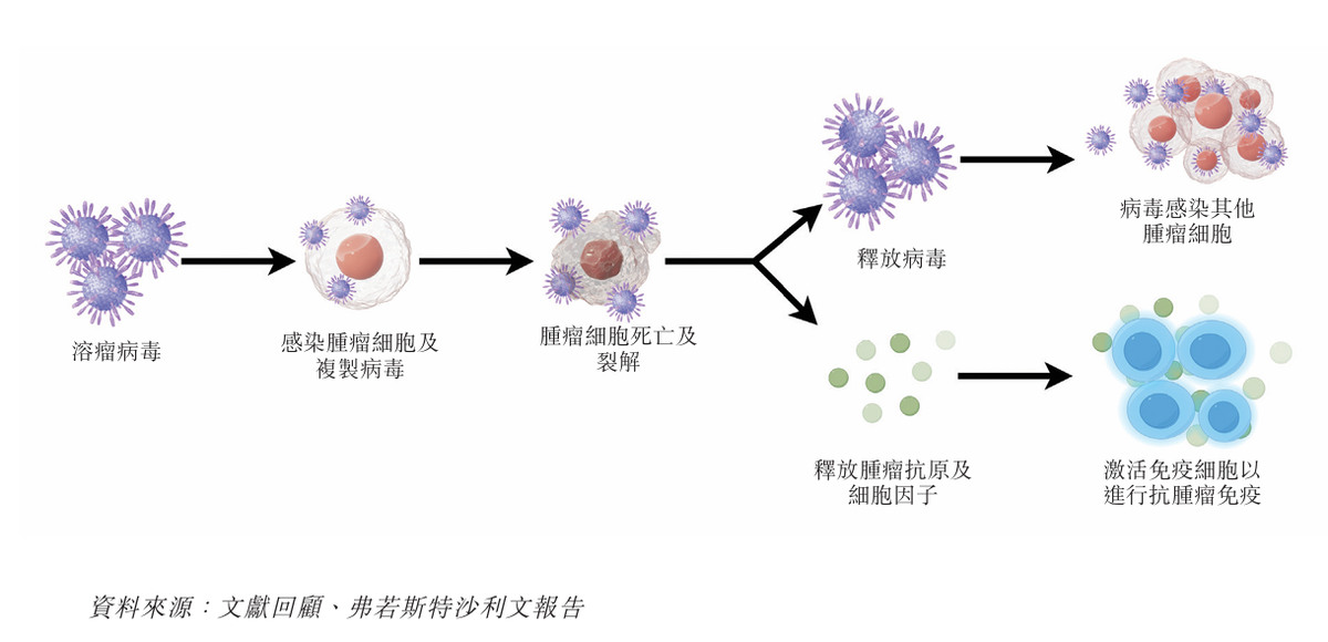 百年抗癌赛道仅4药获批，自身年亏过亿，滨会生物赴港寻“解药”​