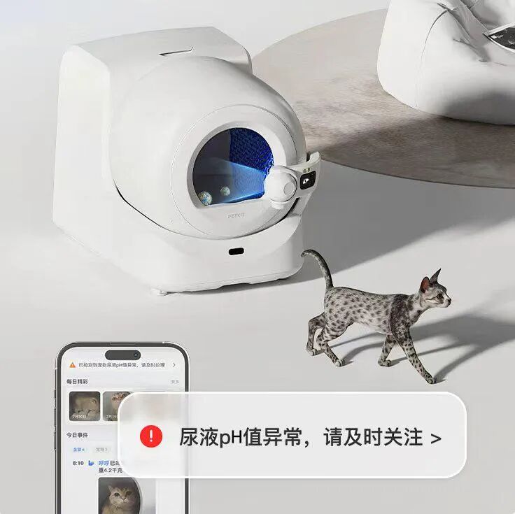 2025品牌出海：差异化突围时代来临