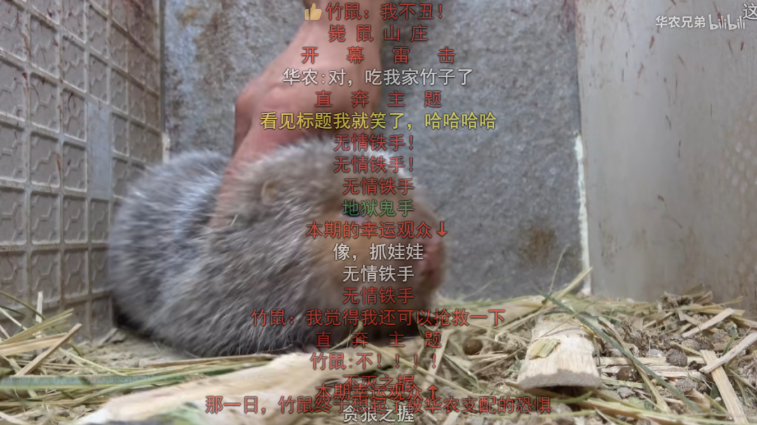 浪漫在田间地头