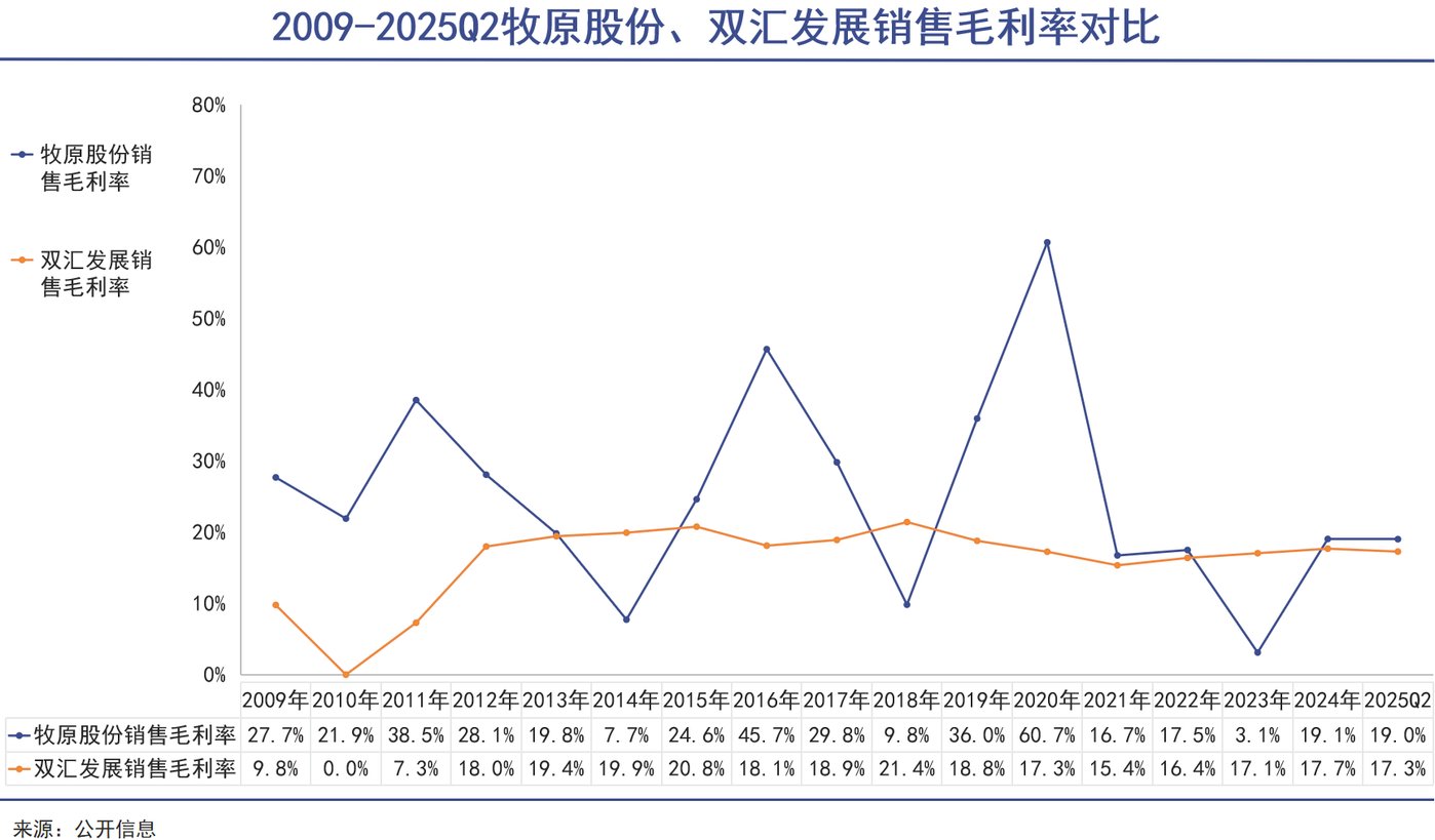 猪王肉王,已成对手