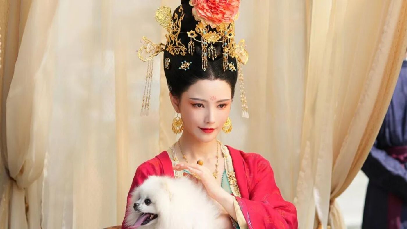 远离擦边后,这个价值过亿的品类“风口”越来越好了