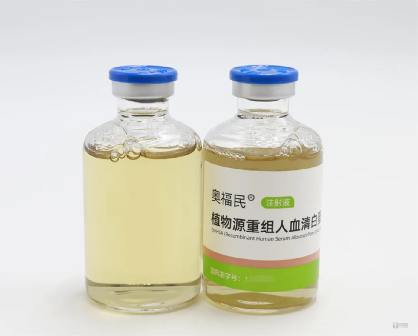 科创板第五套标准重启首家!禾元生物携“稻米造血”技术成功上市 | Profolio动态