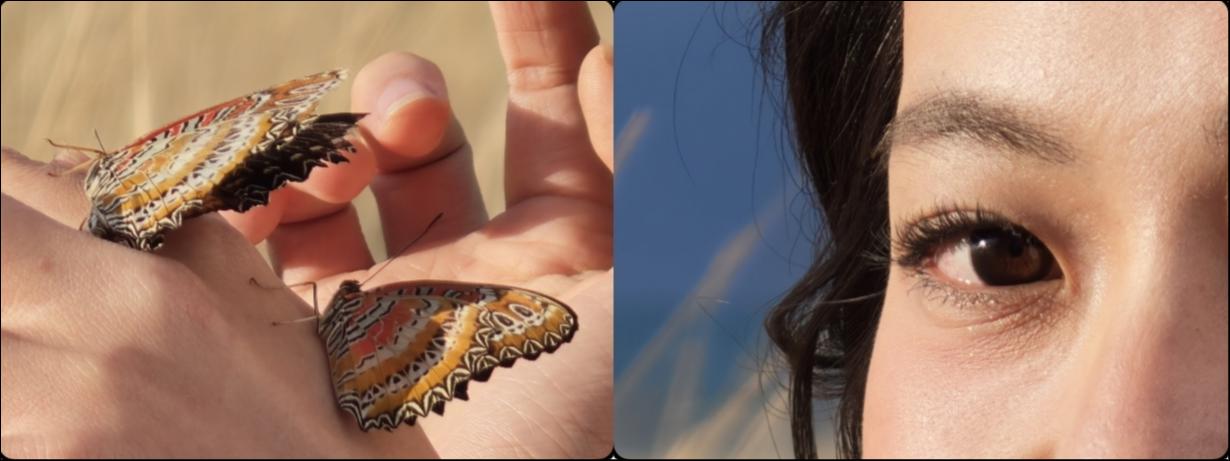 Find X9 Pro 哈苏 2 亿长焦原图局部裁切