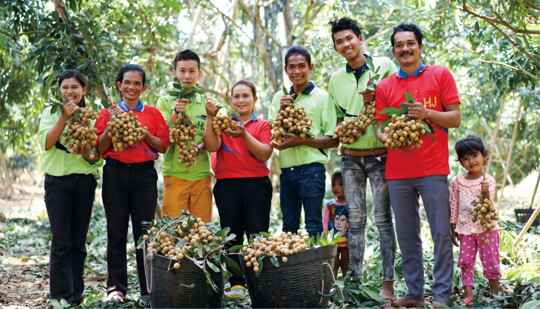 “水果第一股”的坠落：洪九果品从600亿市值到强制退市警示录