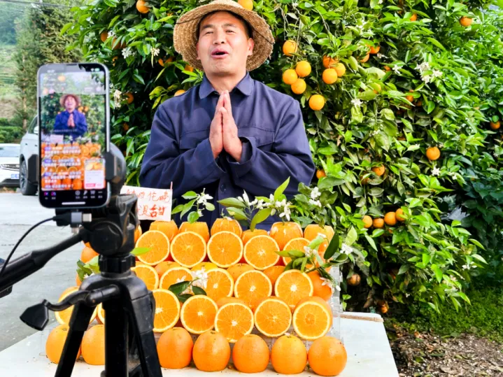 返乡创业潮正在进行时