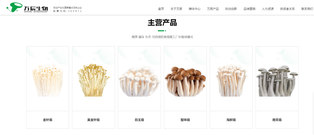 500倍利润暴增与90%负债率，万辰集团的双面港股征途