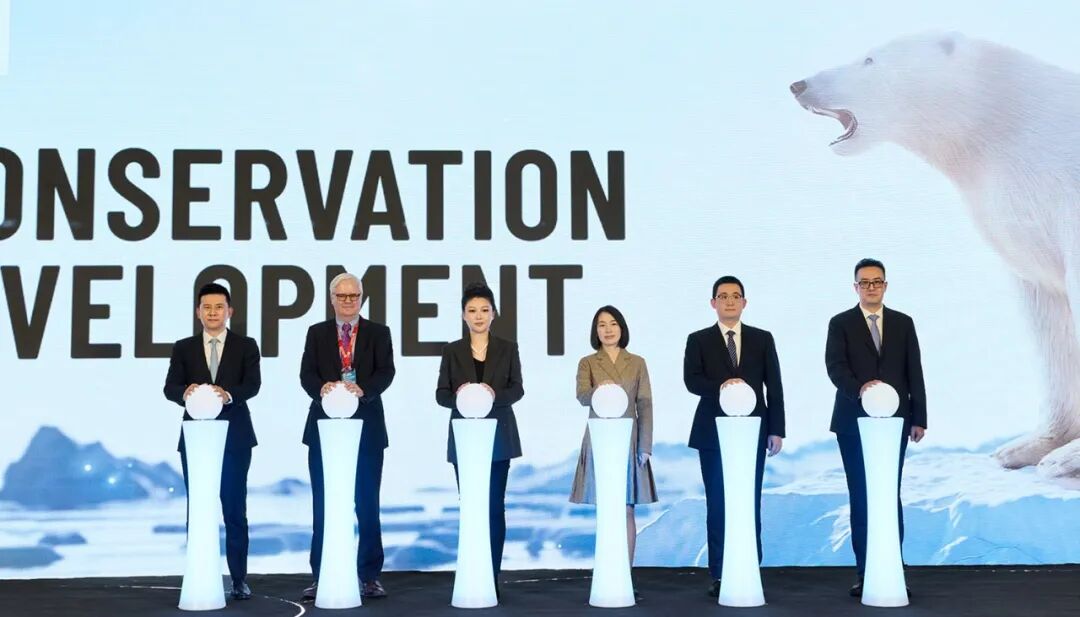 2025第八届中国国际光储大会：创历史・链世界・促转型