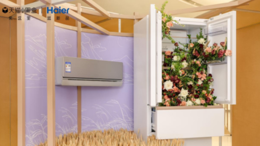 双11收官，海尔连续14年全网第一 | 品牌