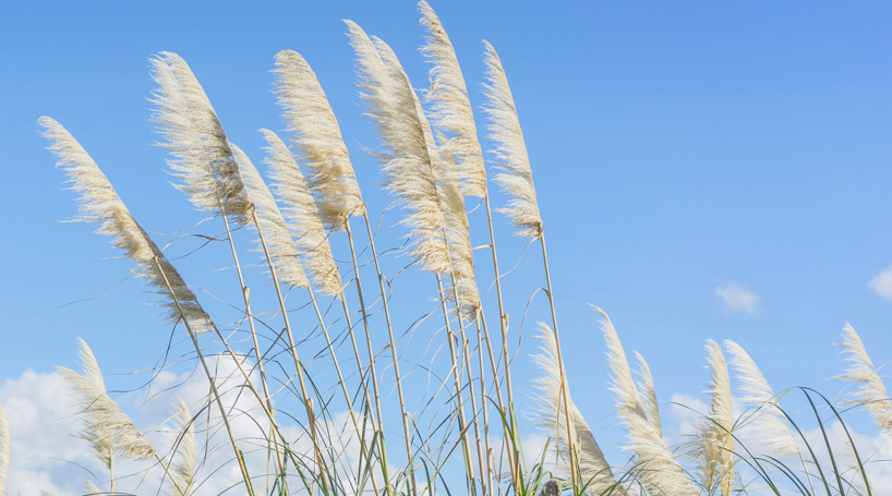 打工人吃不起麻辣烫，小老板们也不赚钱