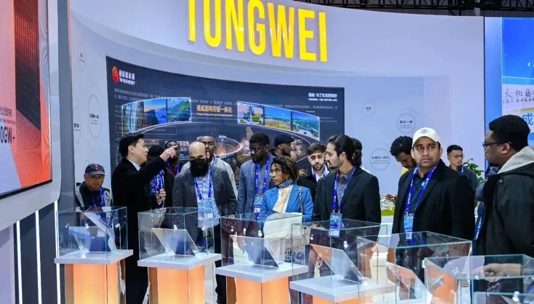 2025第八届中国国际光储大会：创历史・链世界・促转型