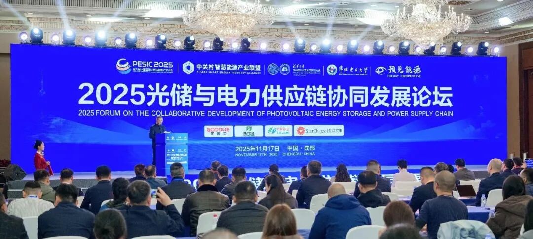 2025第八届中国国际光储大会：创历史・链世界・促转型