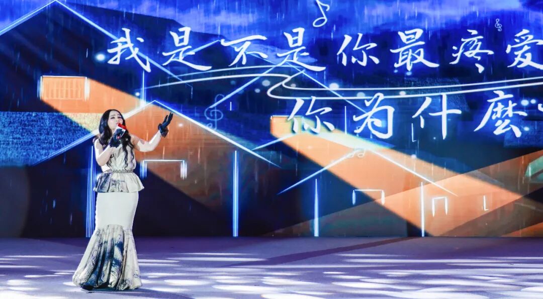 2025第八届中国国际光储大会：创历史・链世界・促转型