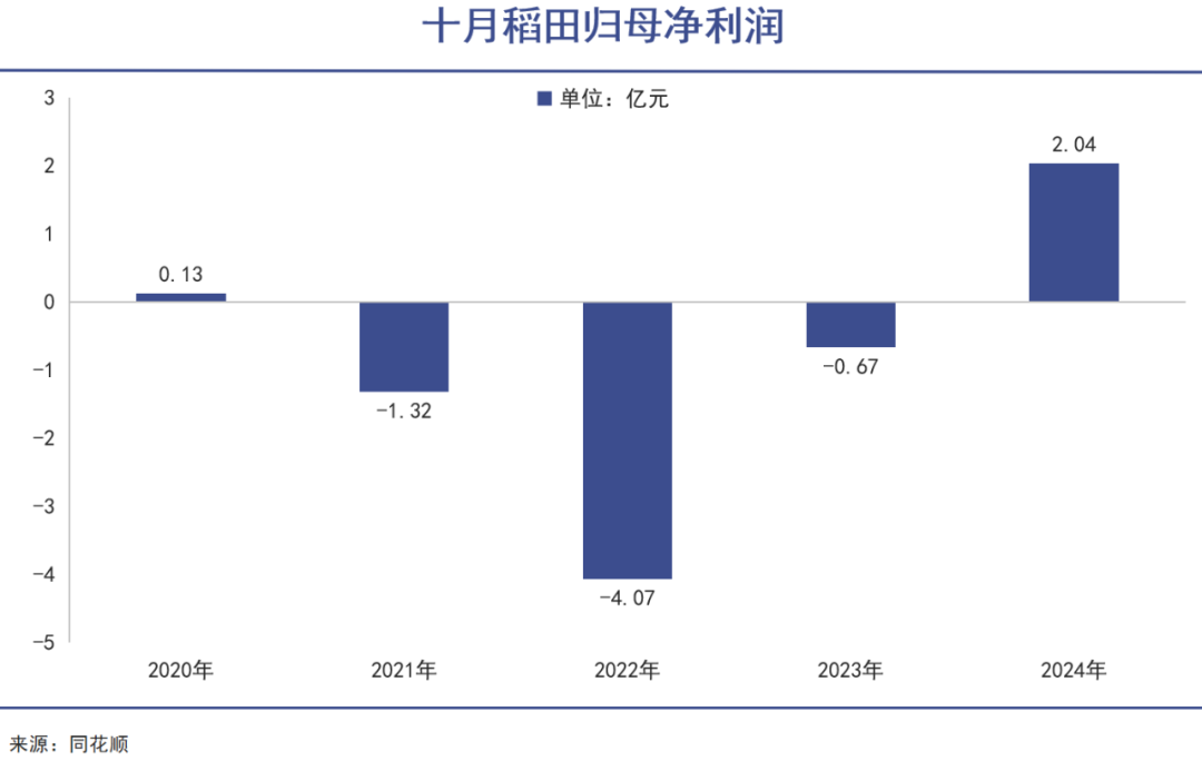 东北老板，把大米卖成全国顶流