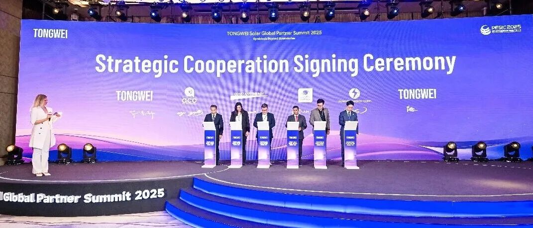 2025第八届中国国际光储大会：创历史・链世界・促转型