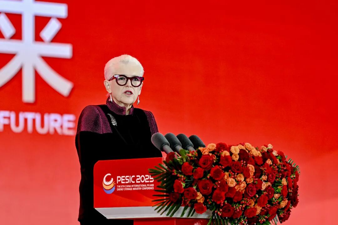 2025第八届中国国际光储大会：创历史・链世界・促转型