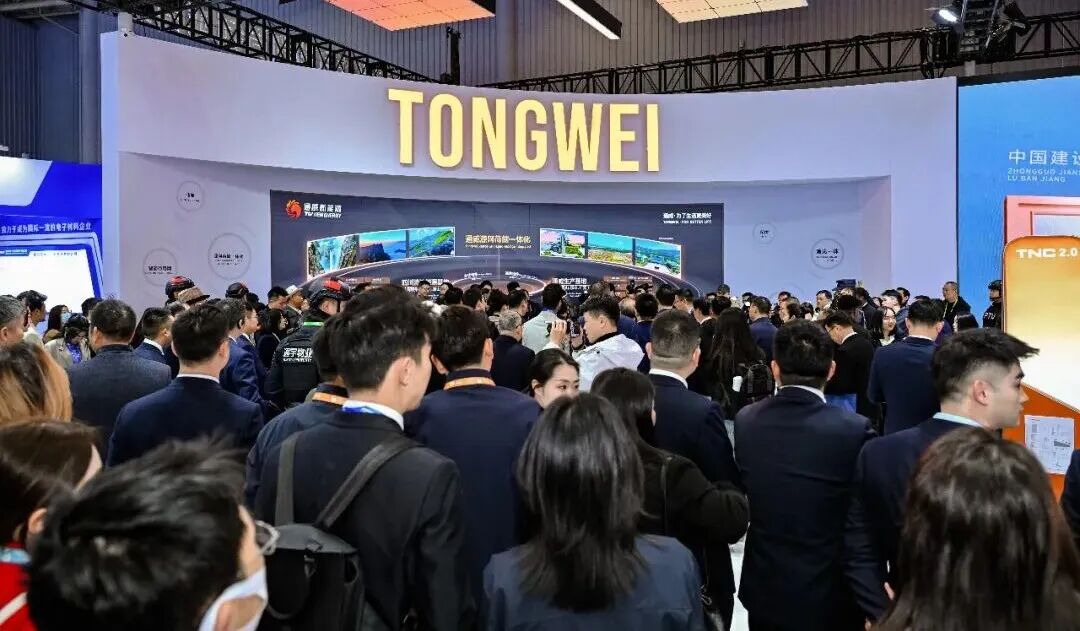 2025第八届中国国际光储大会：创历史・链世界・促转型