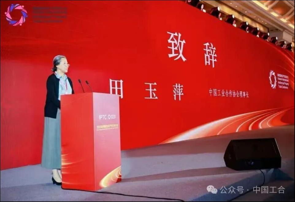 共筑知识产权发展新生态——2025海南国际知识产权交易大会纪实