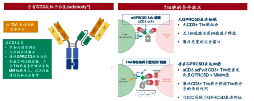ASH重磅：伴髓外病变ORR 100%，维立志博LBL-034或改写多发性骨髓瘤治疗格局