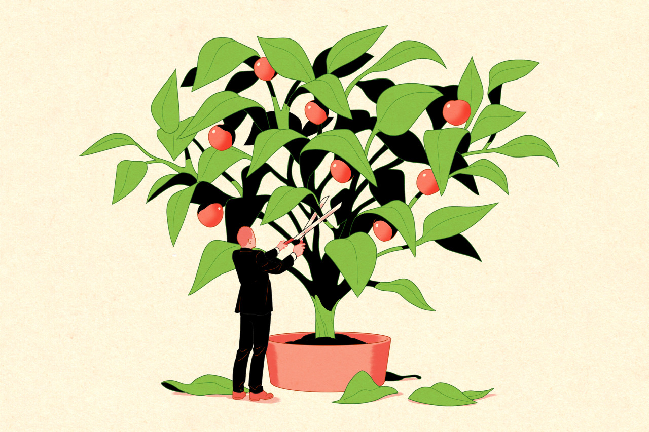 這些股票基金遠(yuǎn)超大盤，他們對2026年的投資選擇是什么