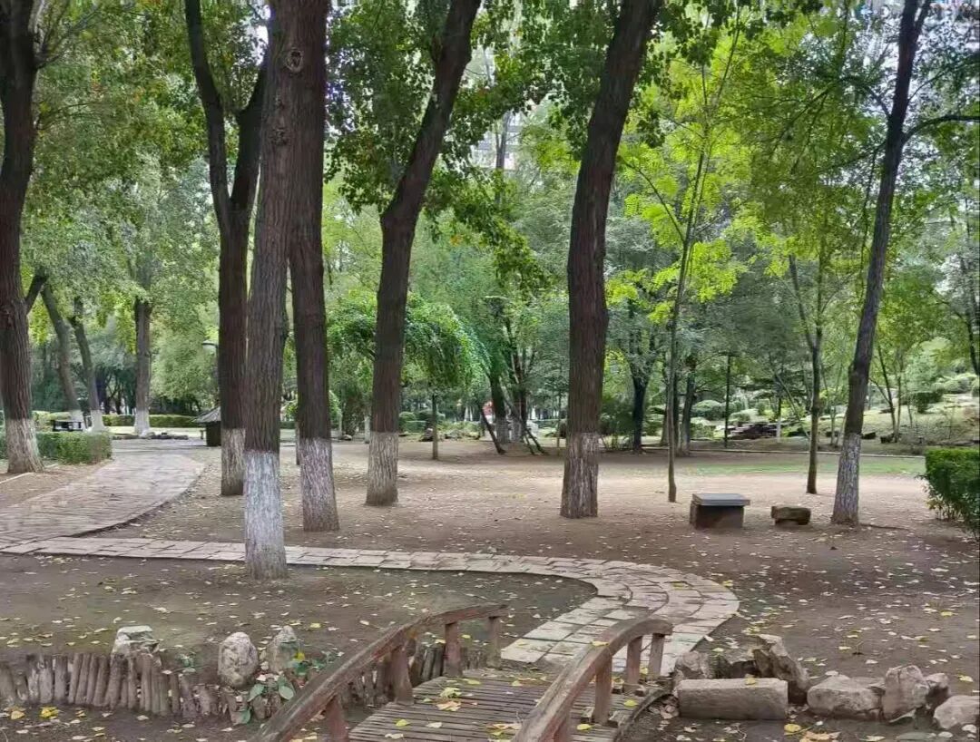 退休老人再就业，我成了大家的“共享奶奶”