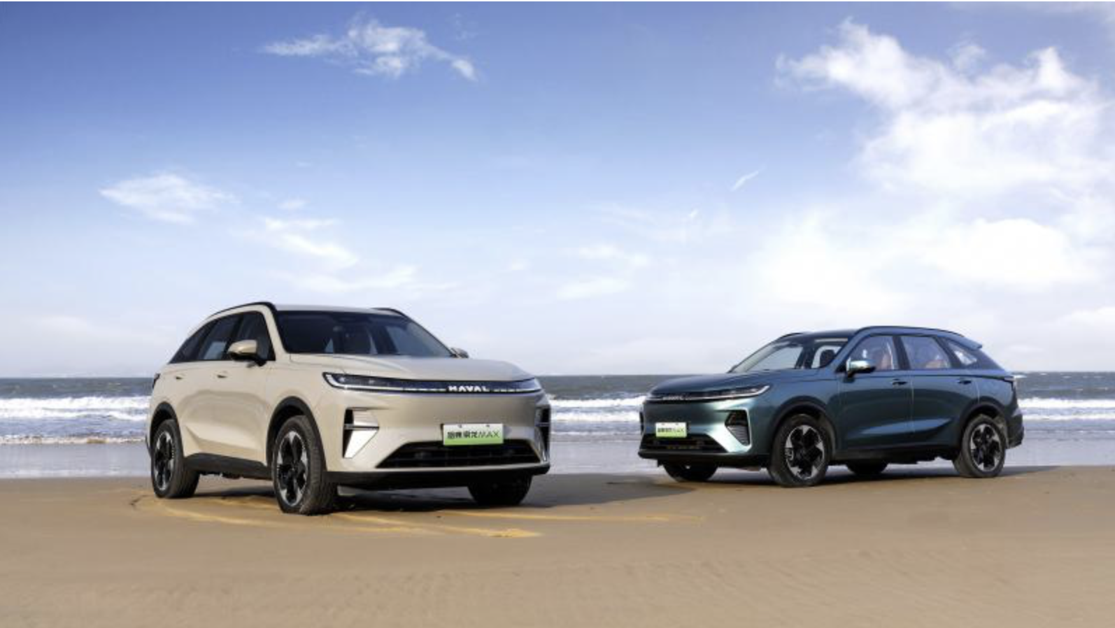 图片来源：长城汽车官网