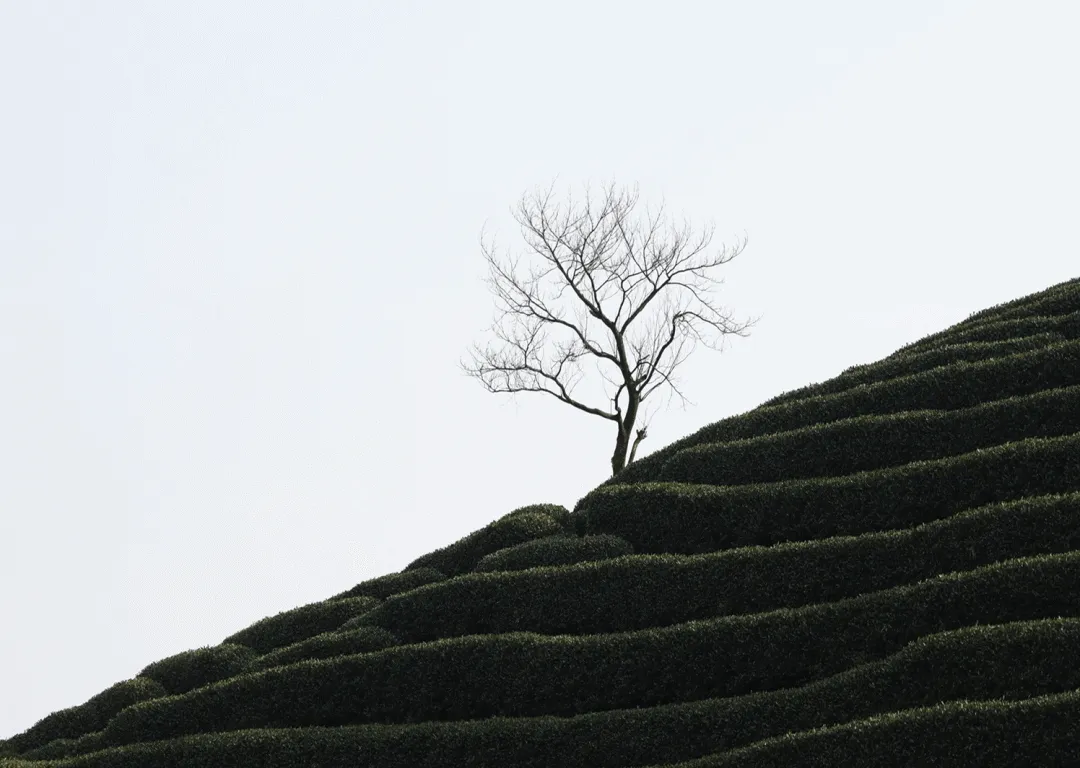 AI来了，大厂为什么留不住高管？ | 巴伦精选