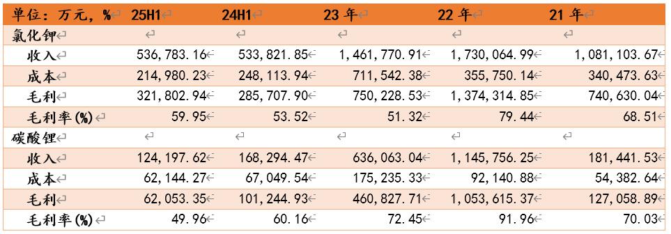 察尔汗的烈火：盐湖股份十年涅槃纪