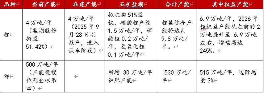 察尔汗的烈火：盐湖股份十年涅槃纪