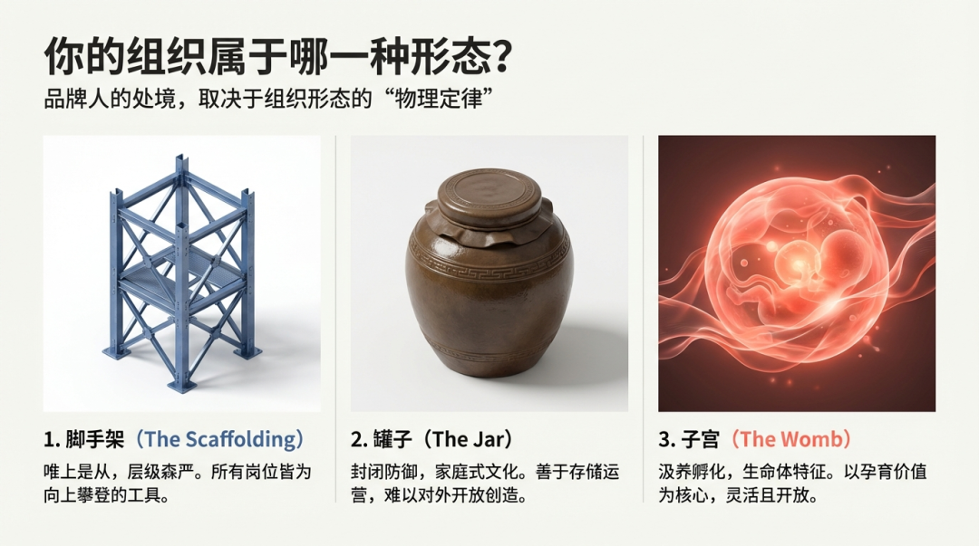 做品牌，理解组织才是关键