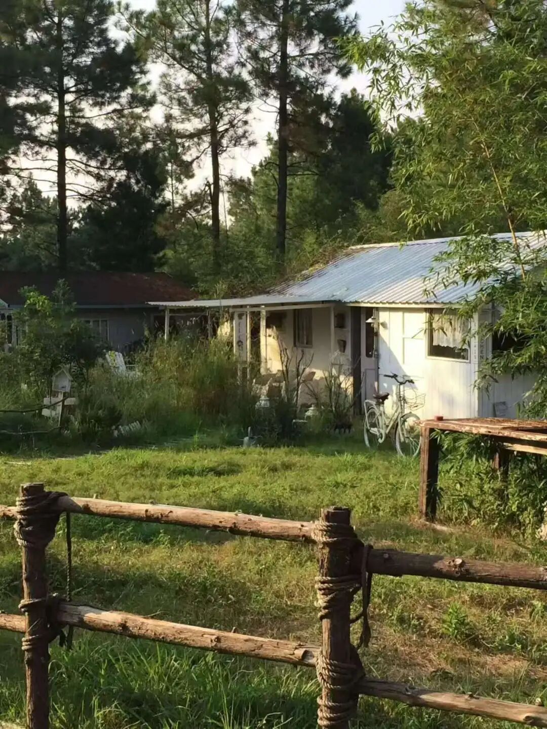 “村漂”的年轻人，利用自媒体悄悄赚钱