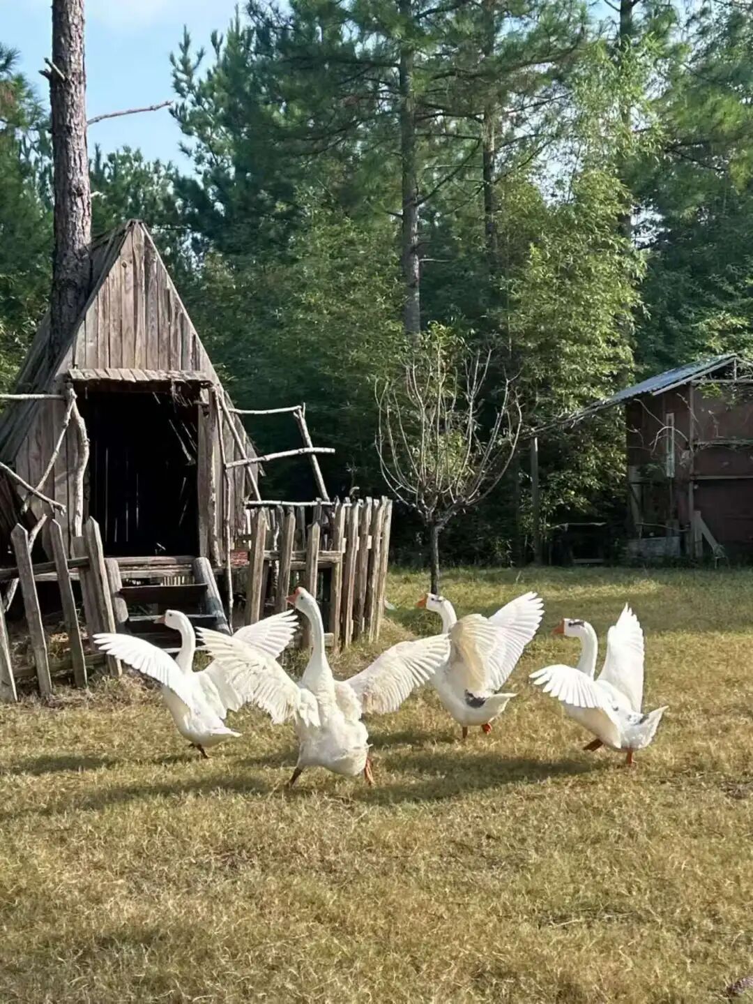 “村漂”的年轻人，利用自媒体悄悄赚钱