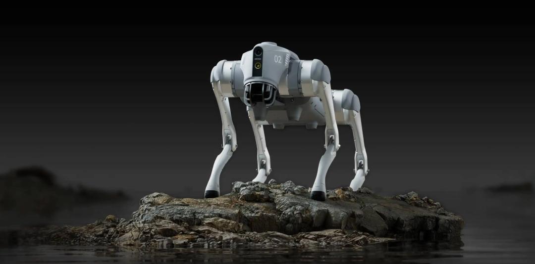 IPO前遭专利狙击，宇树被做局始末