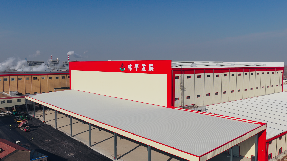 林平发展2月10日上市，沪主板即将迎来安徽本年首家上市企业
