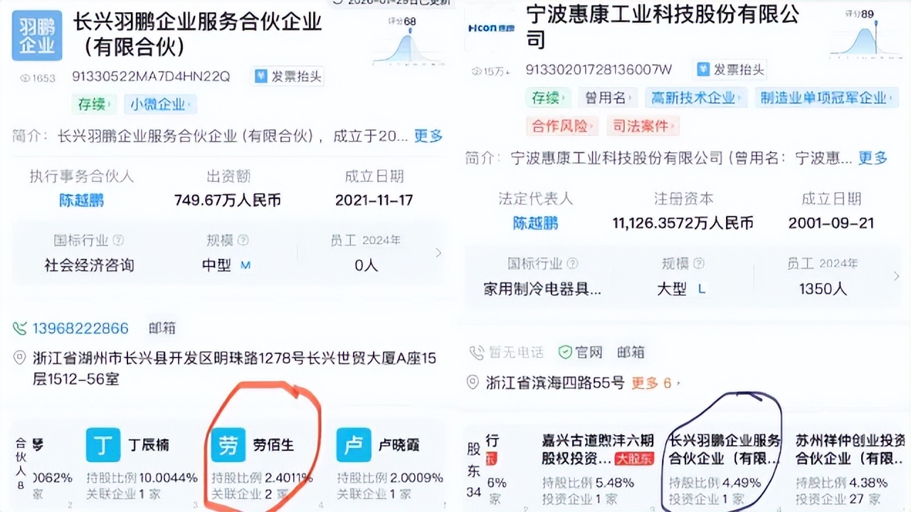 惠康科技IPO供应商关联疑云：反常代持与关系资本阳光化之困 | 深度